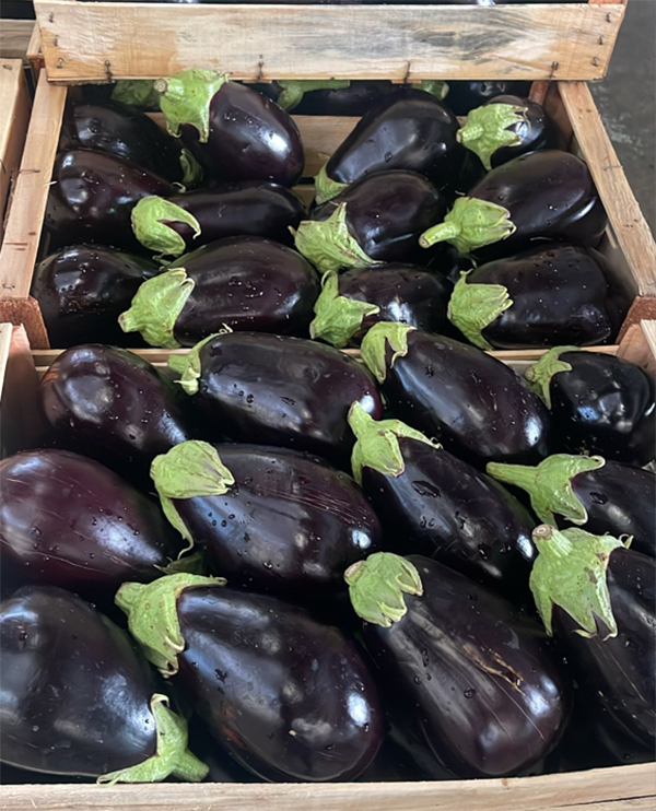 Melanzane - Calabria - 0,50/0,70 euro al chilogrammo